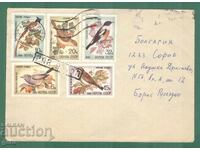 RUSIA serie completă Circulată!! 1981 kj4