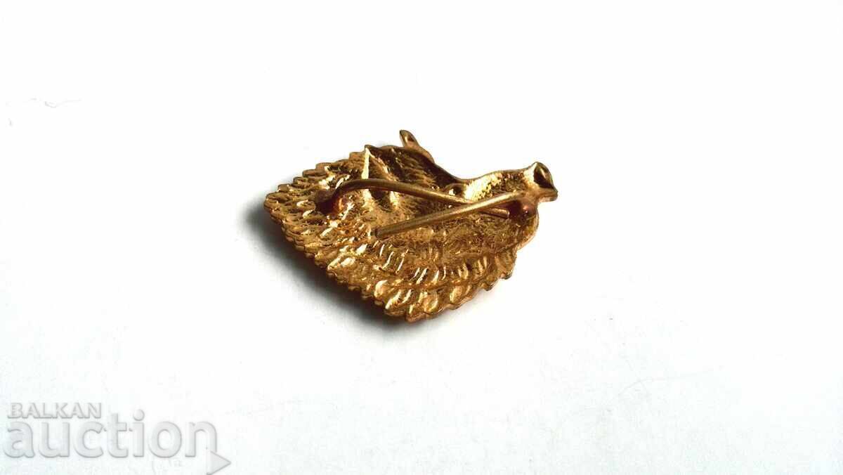 Παράδοση ΓΟΥΡΟΥΝΙ ΑΓΡΙΟ για κυνηγετικό καπέλο