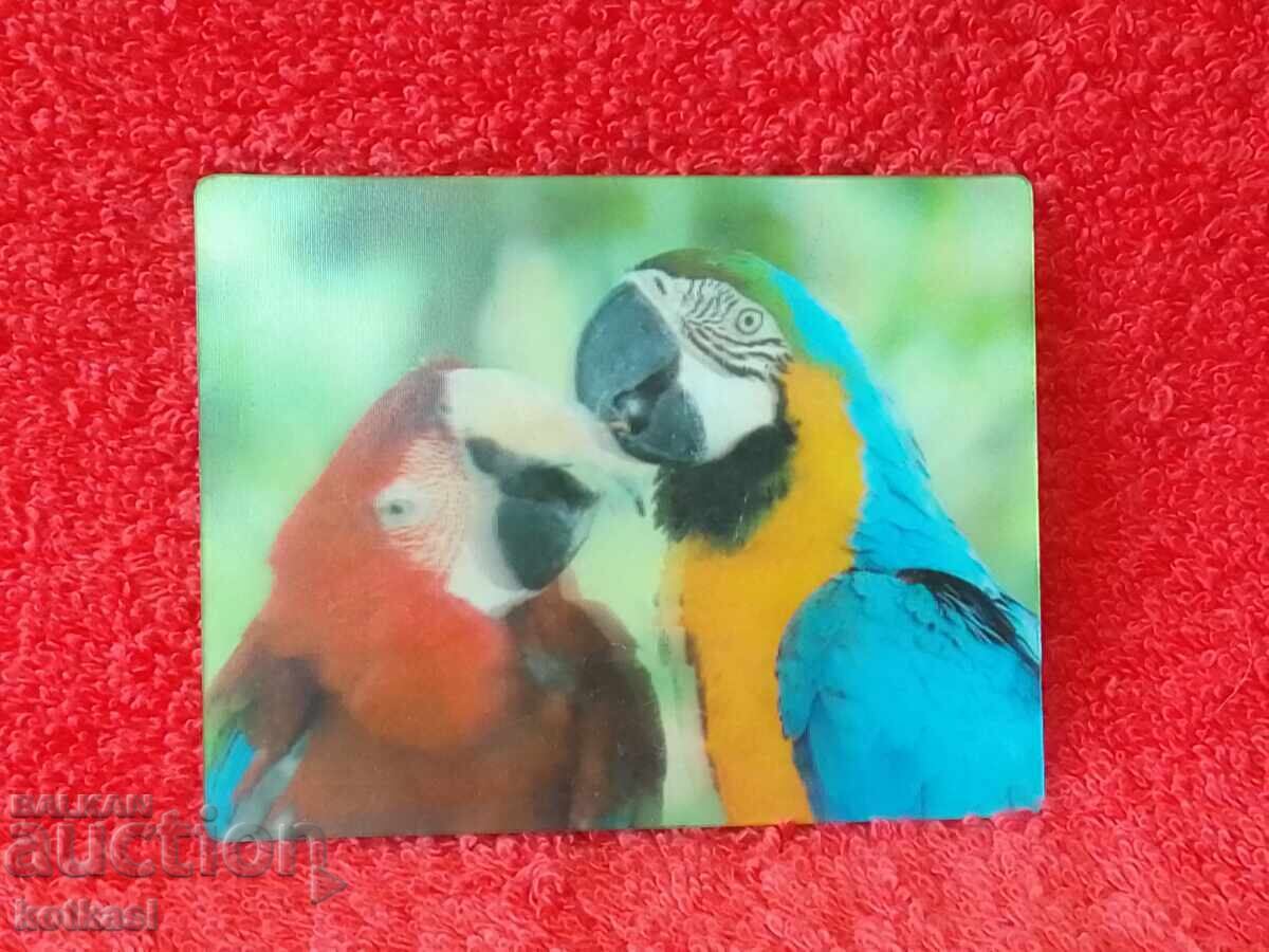 Suvenir Magnet frigider Animale Păsări Papagali frumusețe 3D cu preț € 4.00 | 7.82 BGN