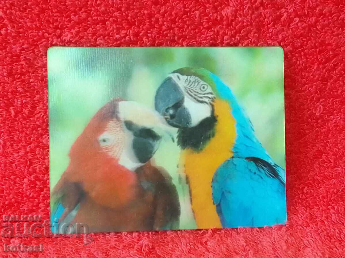 Licitație Suvenir Magnet frigider Animale Păsări Papagali frumusețe 3D Licitație Suvenir Magnet frigider Animale Păsări Papagali frumusețe 3D