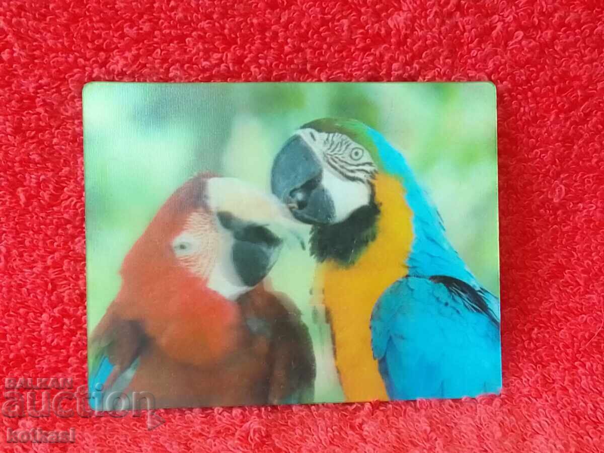 Licitație Suvenir Magnet frigider Animale Păsări Papagali frumusețe 3D