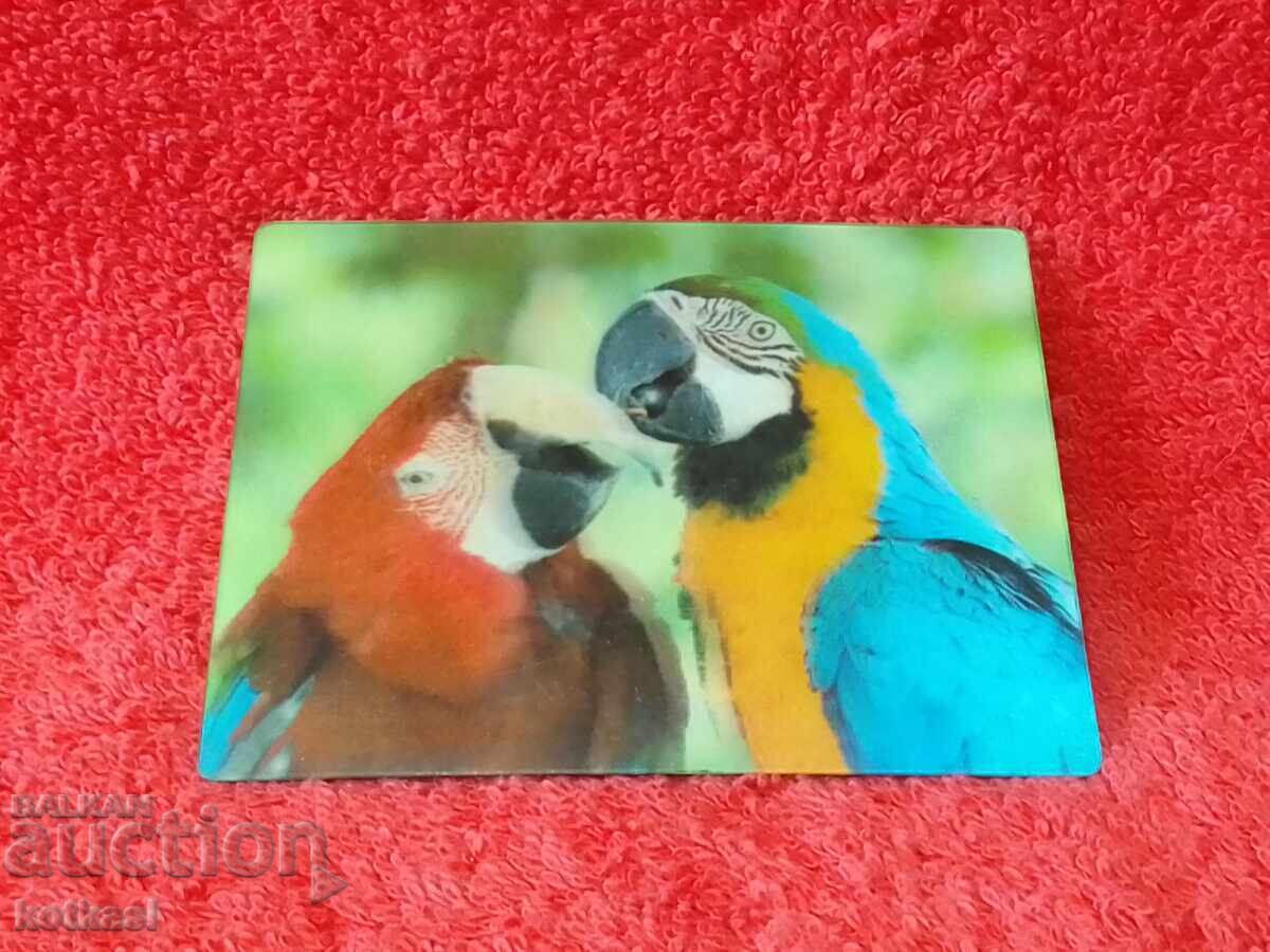 Livrarea Suvenir Magnet frigider Animale Păsări Papagali frumusețe 3D Livrarea Suvenir Magnet frigider Animale Păsări Papagali frumusețe 3D