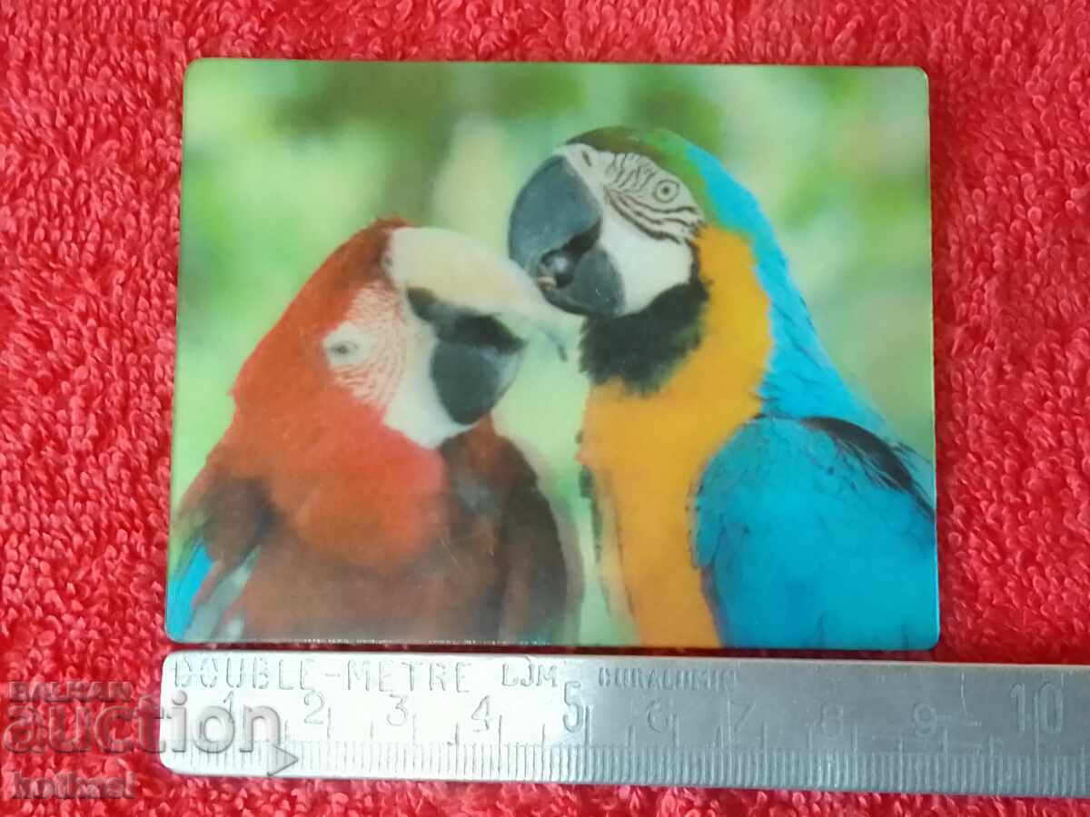 Suvenir Magnet frigider Animale Păsări Papagali frumusețe 3D Suvenir Magnet frigider Animale Păsări Papagali frumusețe 3D