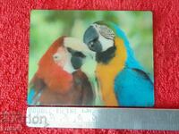 Suvenir Magnet frigider Animale Păsări Papagali frumusețe 3D