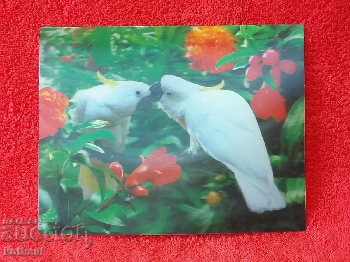 Old Stereo Card Birds Parrots 3D with price 15.50 BGN | € 7.93 Old Stereo Card Birds Parrots 3D with price 15.50 BGN | € 7.93