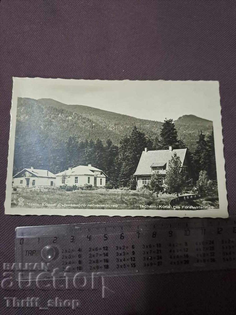 Cartolină poștală Țamcoria silvicultură de stat