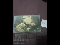 Ευχετήρια κάρτα Βασίλειο της Βουλγαρίας Τέλος