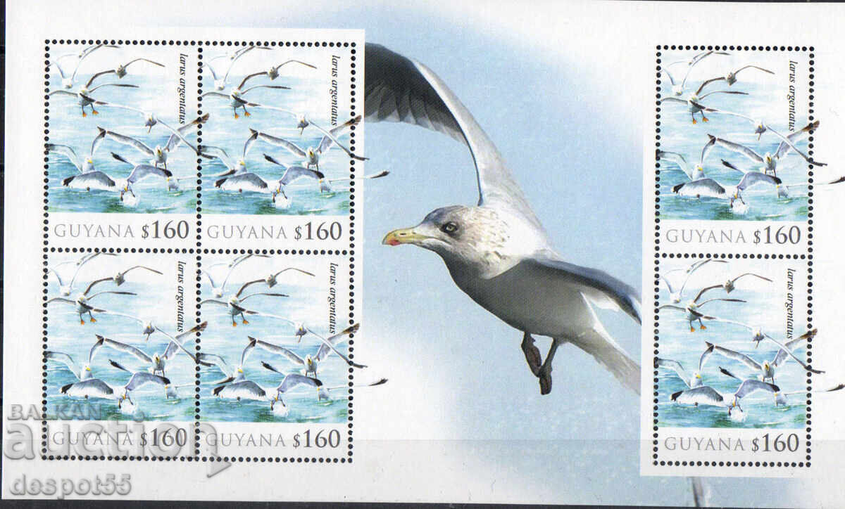 2010. Γουιάνα. Πουλιά - Larus Argentstus. Μπλοκ