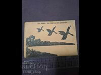 Cartolină Poștală Glasul Poporului Glasul Domnului