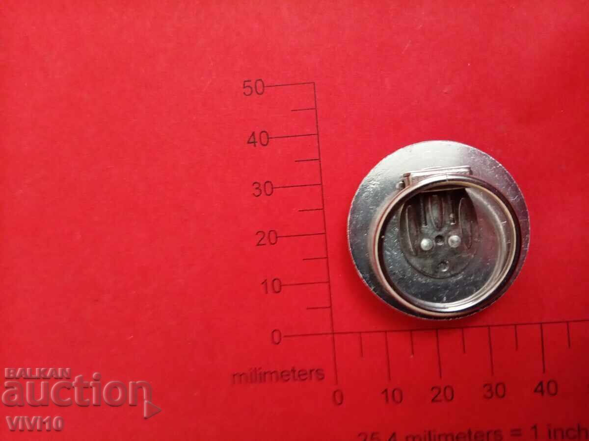 Antique brooch with price € 15.34 | 30.00 BGN