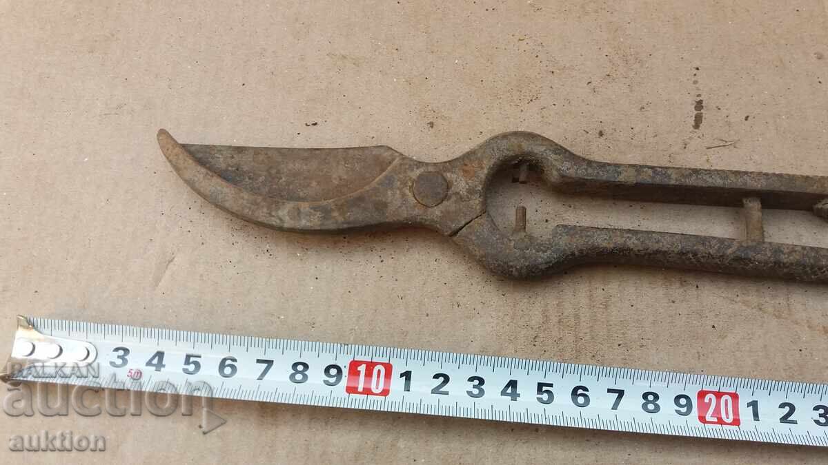 Auction  OLD MASSIVE WINE-GROWING SHEARS