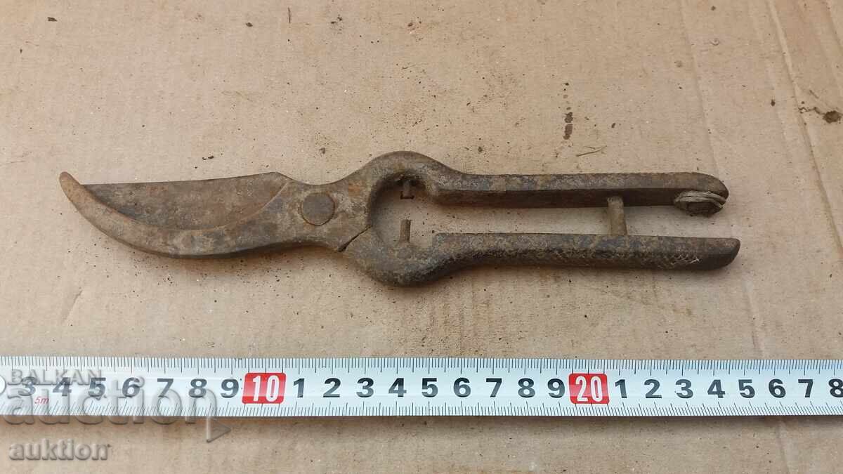 Delivery of OLD MASSIVE WINE-GROWING SHEARS