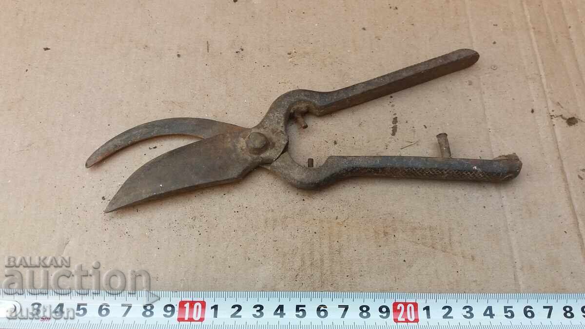 OLD MASSIVE WINE-GROWING SHEARS - 5