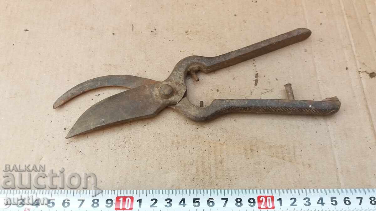 OLD MASSIVE WINE-GROWING SHEARS - 6