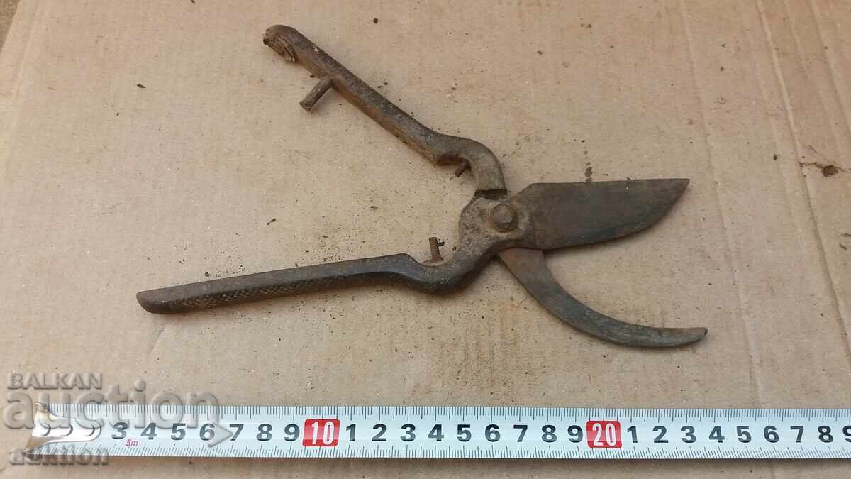 OLD MASSIVE WINE-GROWING SHEARS - 7