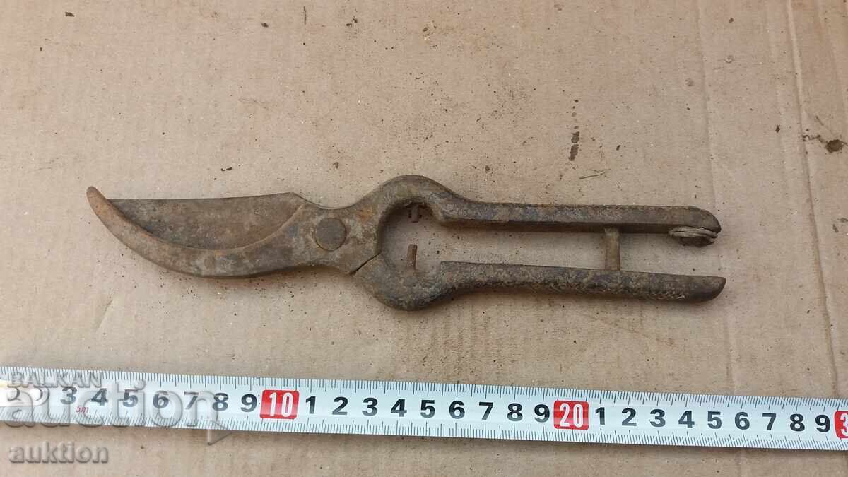 OLD MASSIVE WINE-GROWING SHEARS