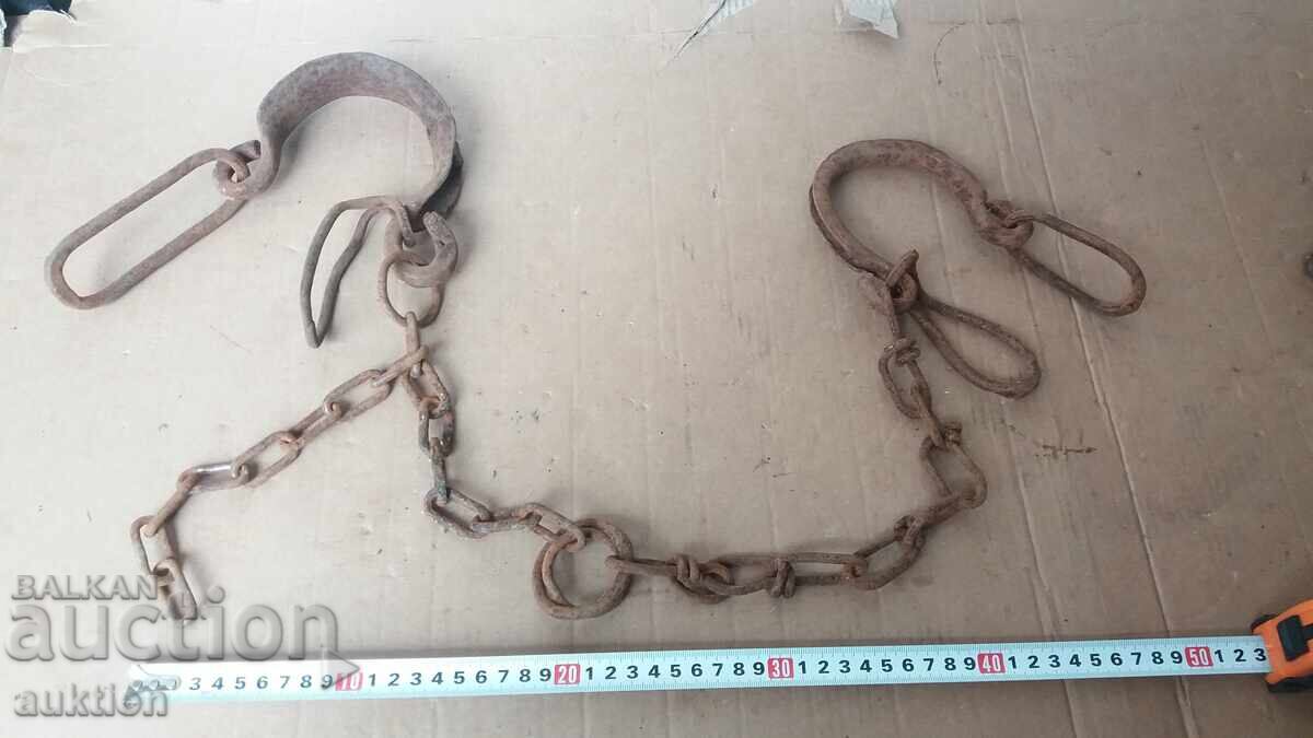 COACĂ, COACĂ, CÂTUSE, FORJAȚE DE RENAȘTERE cu preț 22.99 BGN | € 11.75