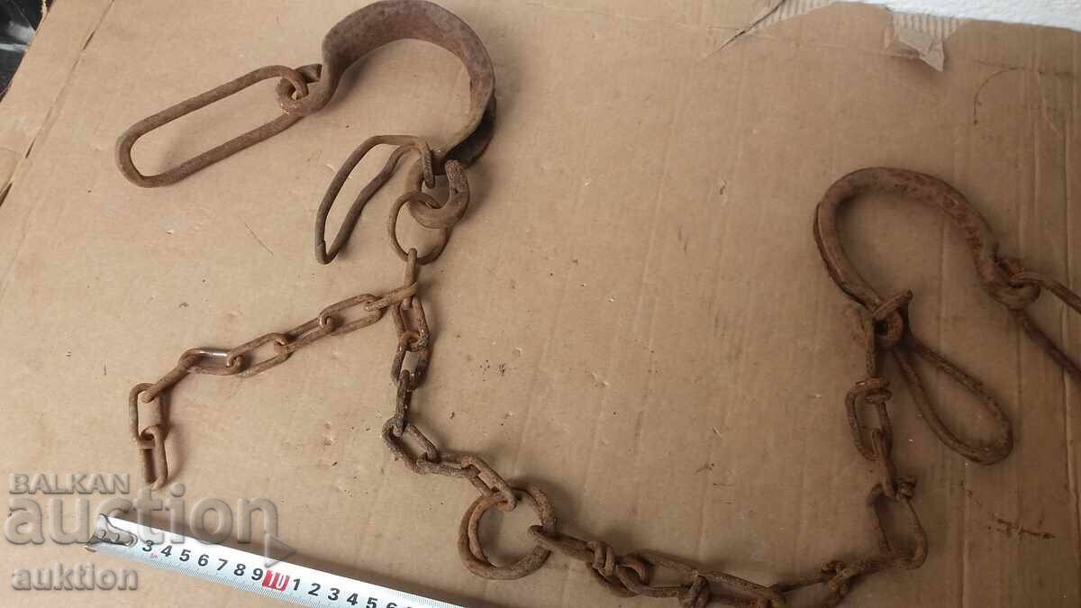 Livrarea COACĂ, COACĂ, CÂTUSE, FORJAȚE DE RENAȘTERE