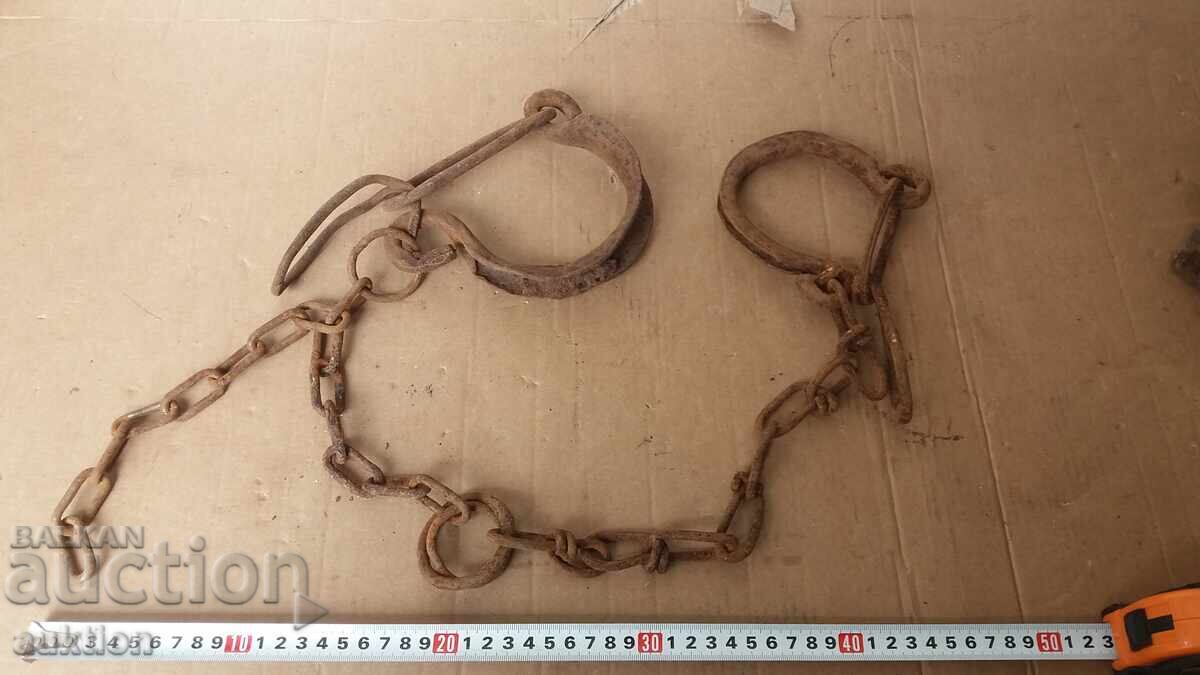 COACĂ, COACĂ, CÂTUSE, FORJAȚE DE RENAȘTERE - 5