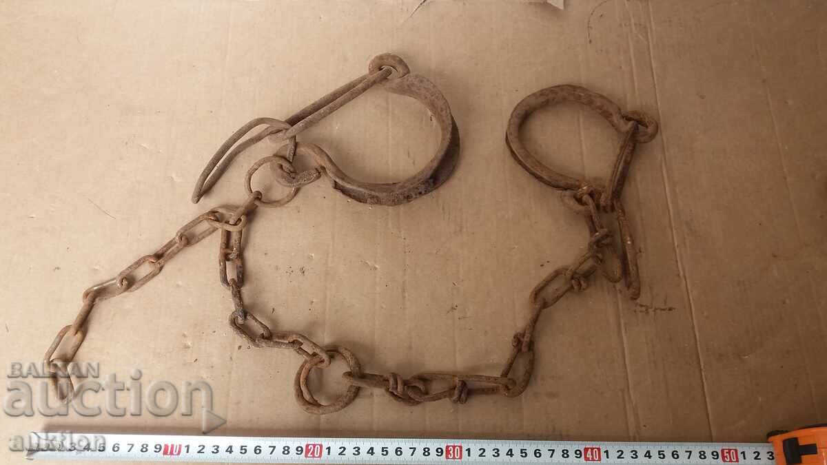 COACĂ, COACĂ, CÂTUSE, FORJAȚE DE RENAȘTERE - 6