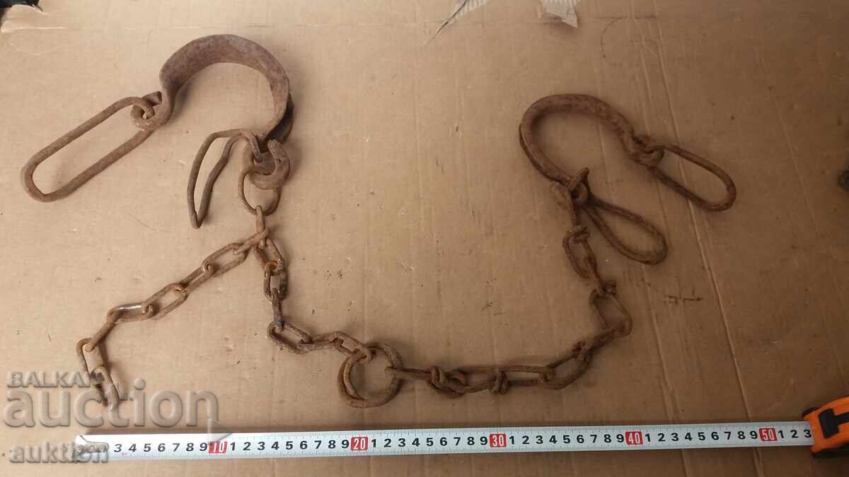 COACĂ, COACĂ, CÂTUSE, FORJAȚE DE RENAȘTERE