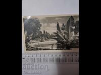 Ταχυδρομική κάρτα - Βάρνα, Θαλάσσιος Κήπος