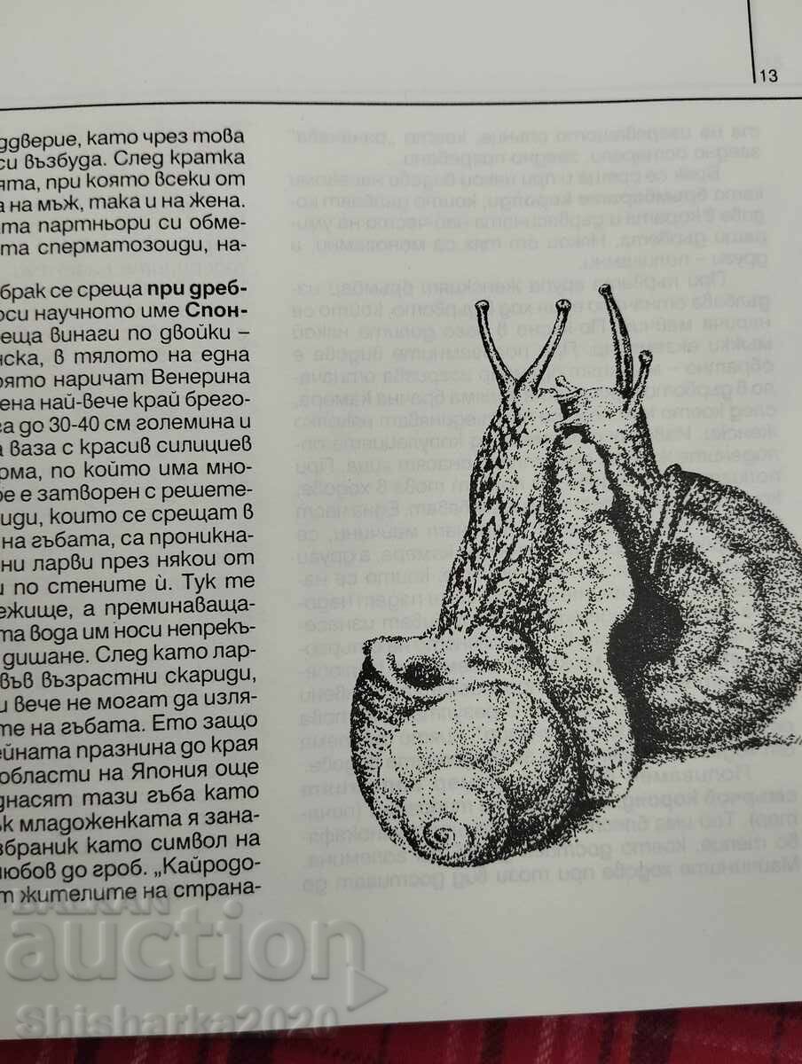 Δημοπρασία Έρωτας, γάμος και ζήλια στον ζωικό κόσμο Δημοπρασία Έρωτας, γάμος και ζήλια στον ζωικό κόσμο