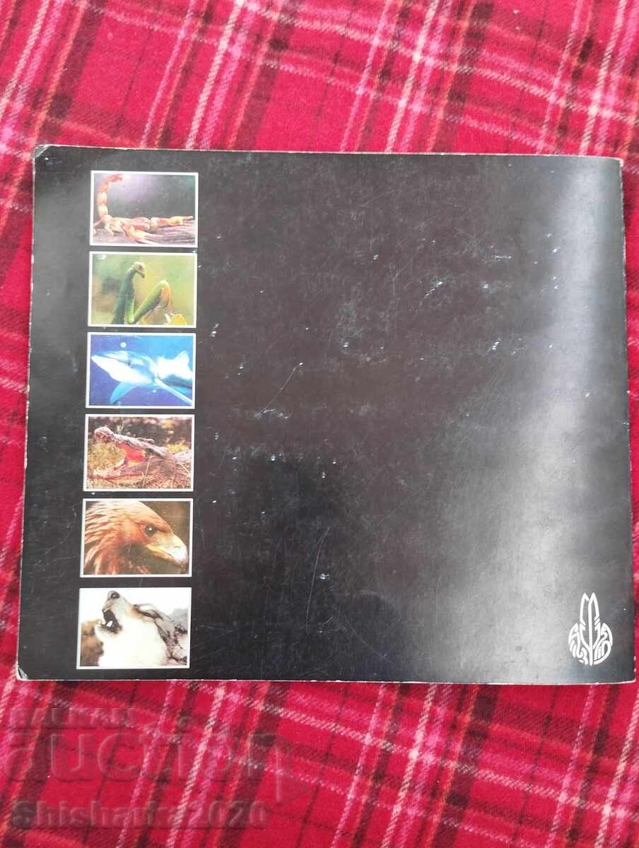 Παράδοση Έρωτας, γάμος και ζήλια στον ζωικό κόσμο Παράδοση Έρωτας, γάμος και ζήλια στον ζωικό κόσμο