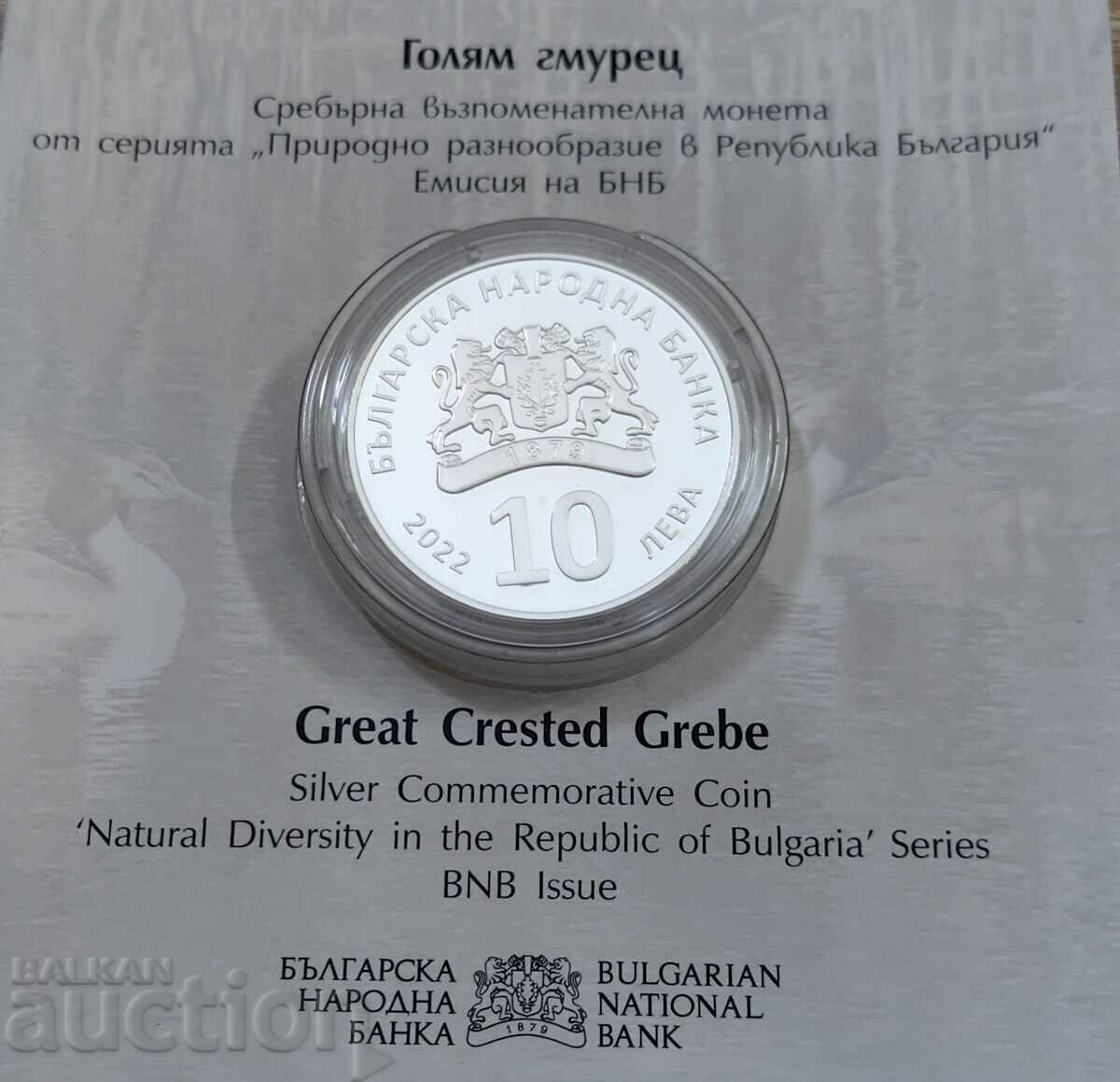 Licitație 10 BGN 2022 Golyam Gmurets Licitație 10 BGN 2022 Golyam Gmurets