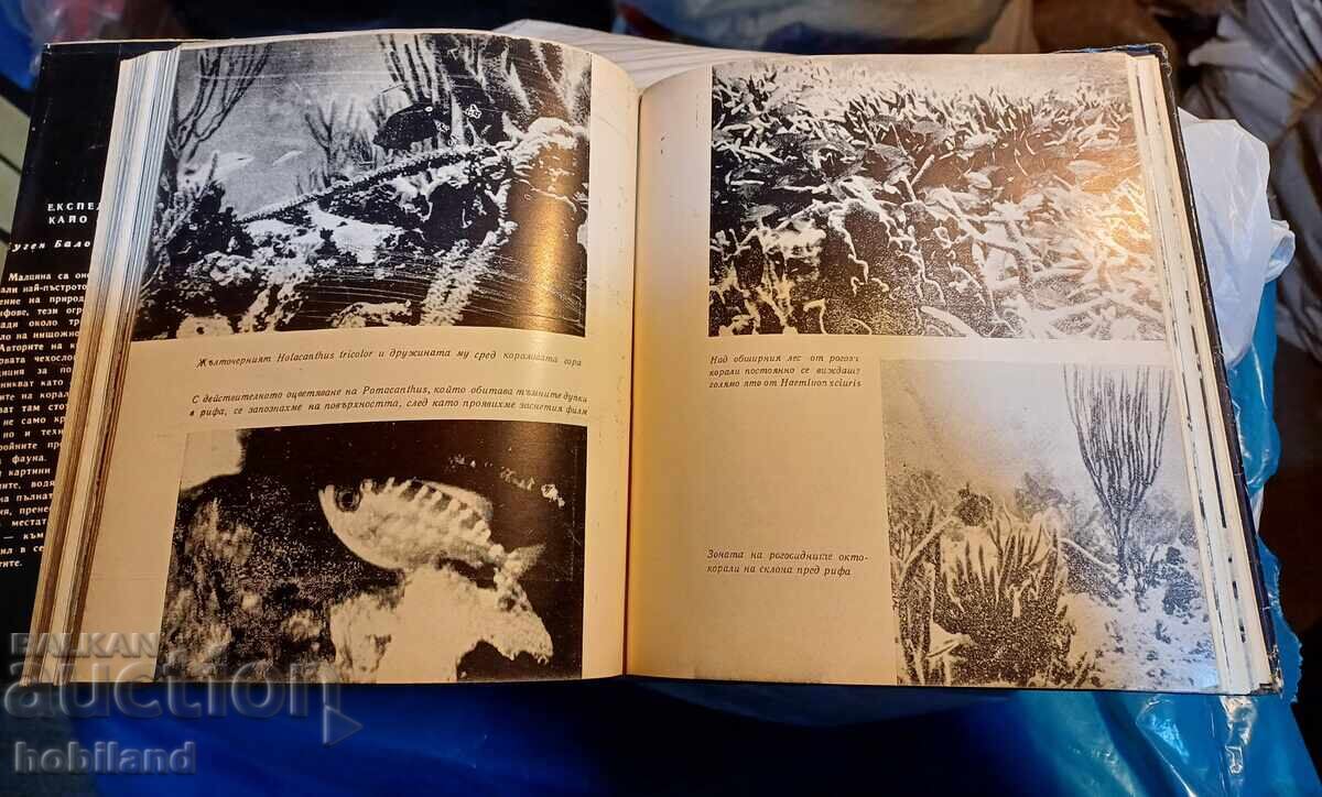 Cayo Largo Expedition με τιμή 4.00 BGN | € 2.05