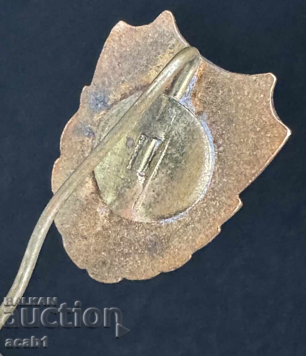 Energy/Energia badge with price 9.99 BGN | € 5.11