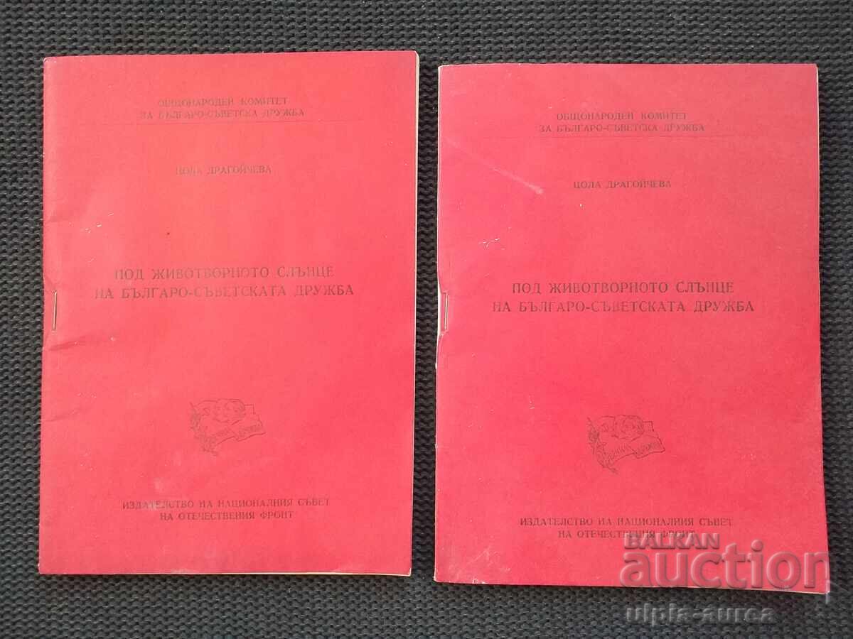 Wounded Socialite Tsola Dragoicheva