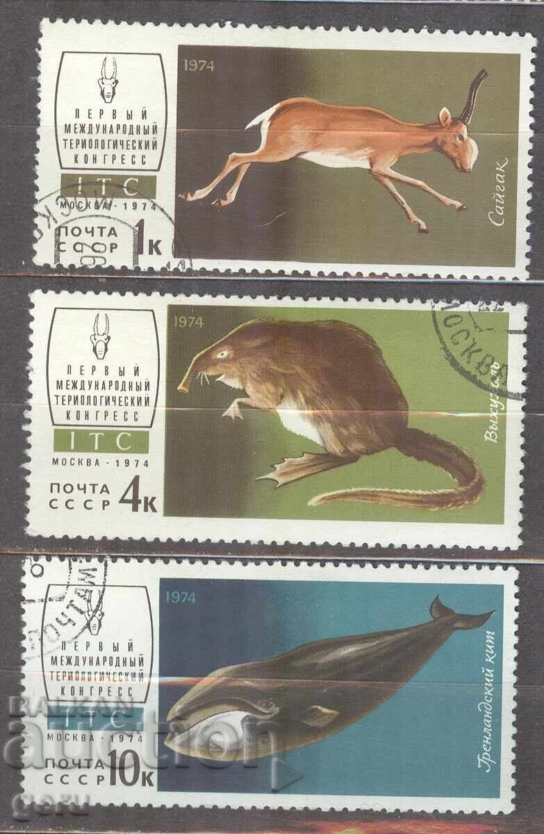 RUSSIA stamp 1o4 RUSSIA stamp 1o4