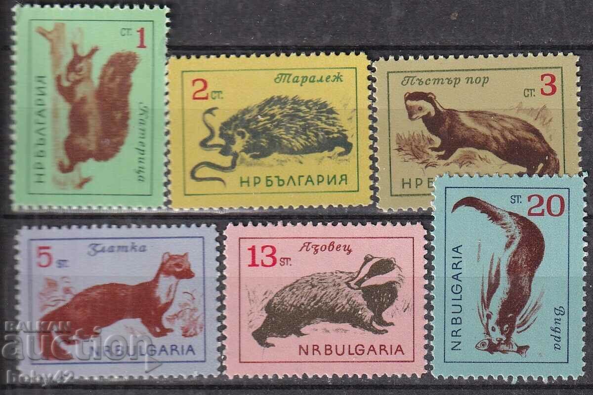 BC 1433-1438 Animals BC 1433-1438 Animals