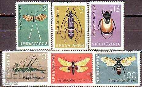 БК 1503-1508 Насекоми БК 1503-1508 Насекоми