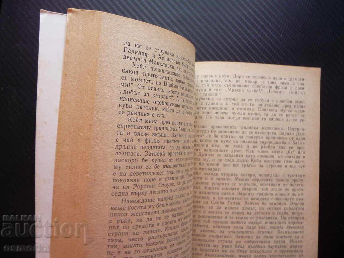 Δημοπρασία Λαμπ Κέιλ Μπέρναρντ Μακλάβερτι Ιρλανδία πόνος ταπείνωση μυθιστορήματα