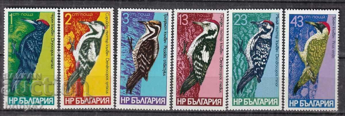 BK 2766-2771 KALVACHI BK 2766-2771 KALVACHI