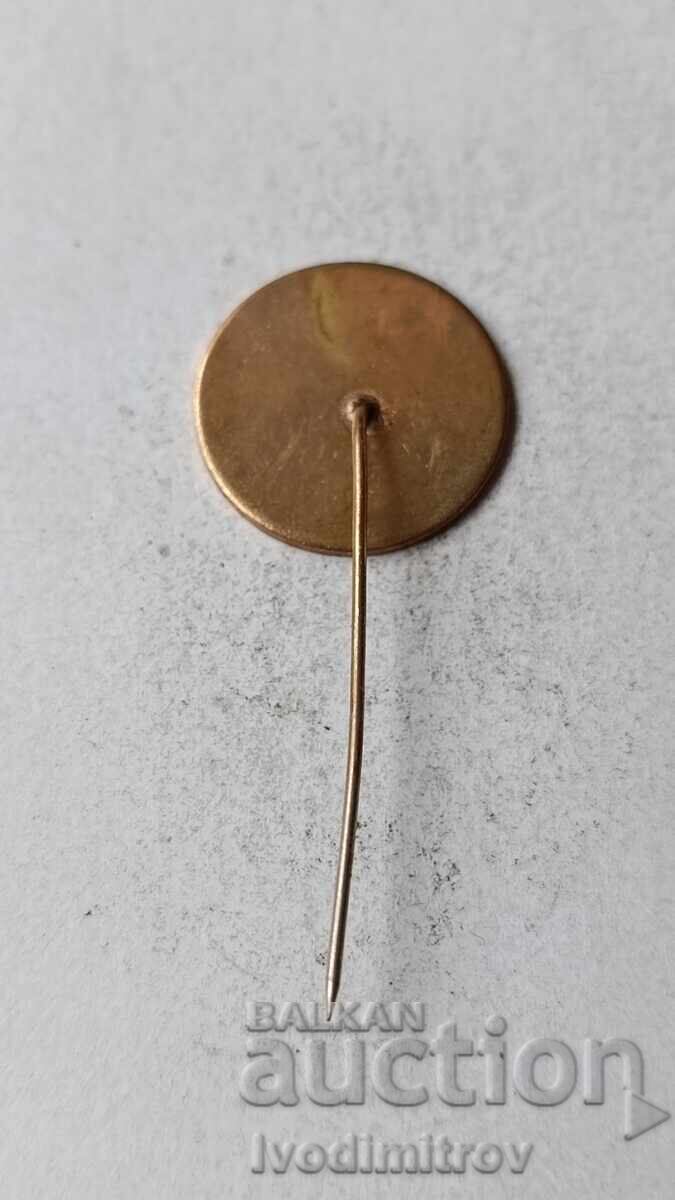 Σήμα Vidlon Vidin Bulgaria με τιμή 3.45 BGN | € 1.76