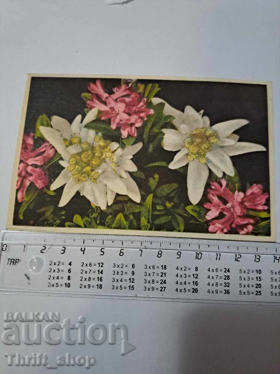 Ταχυδρομική κάρτα - Έντελβαϊς