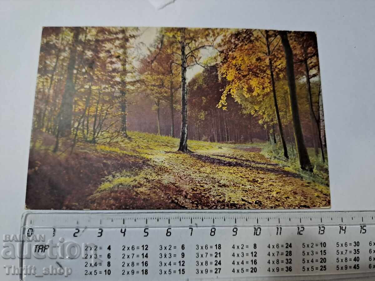 Carte poștală - Peisaj