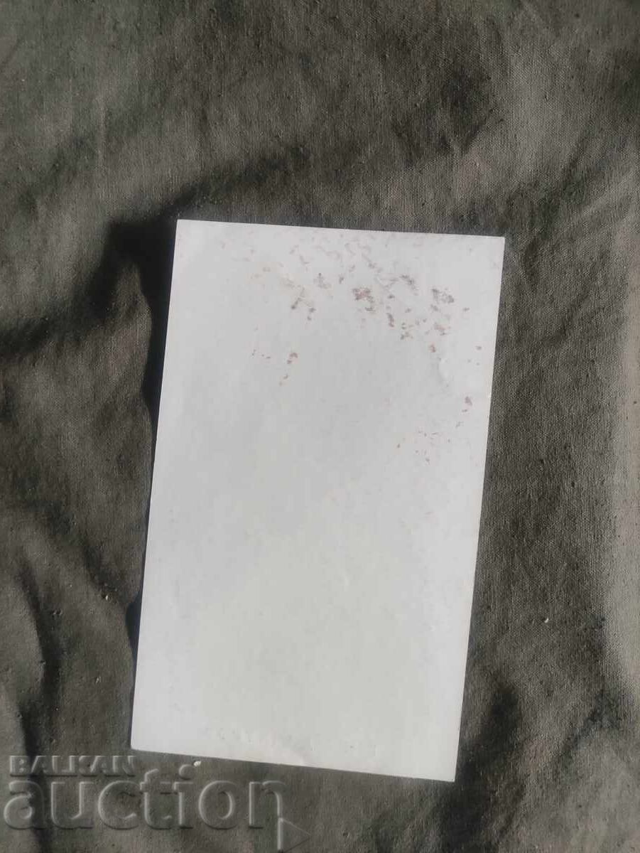 Emil Dimitrov with price 300.00 BGN | € 153.39