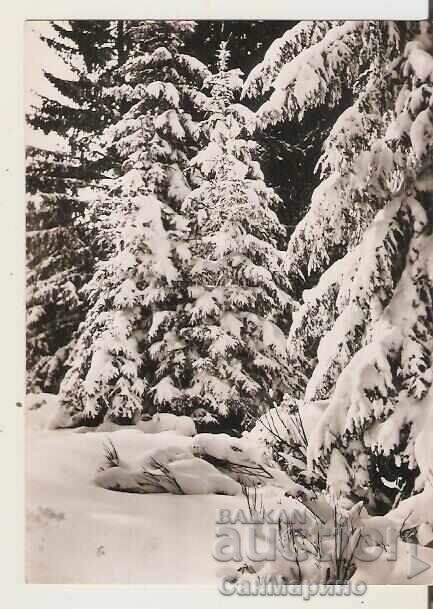 Κάρτα Βουλγαρία Σόφια Βίτοσα Χειμωνιάτικο τοπίο 2**