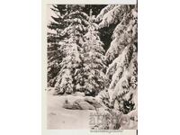 Κάρτα Βουλγαρία Σόφια Βίτοσα Χειμωνιάτικο τοπίο 2**