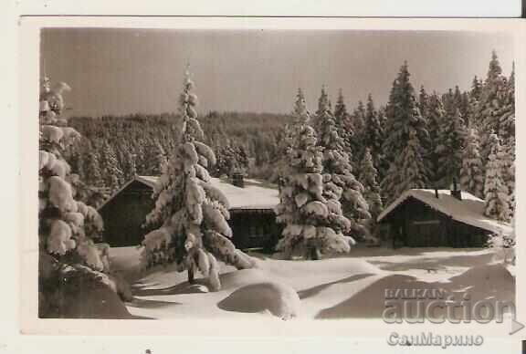 Картичка  България  София Витоша Зимен пейзаж 4**