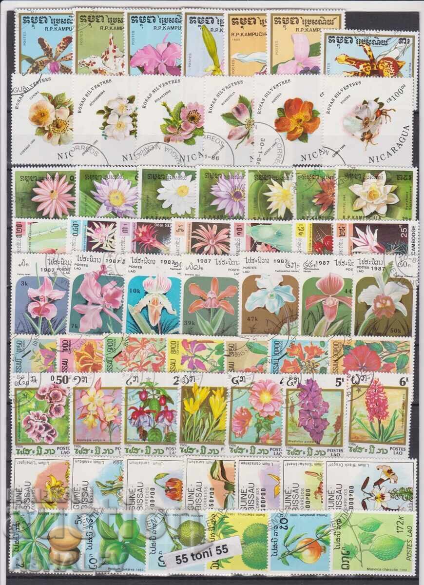 Лот Флора - Цветя, Гъби 17 комп. издания с печат