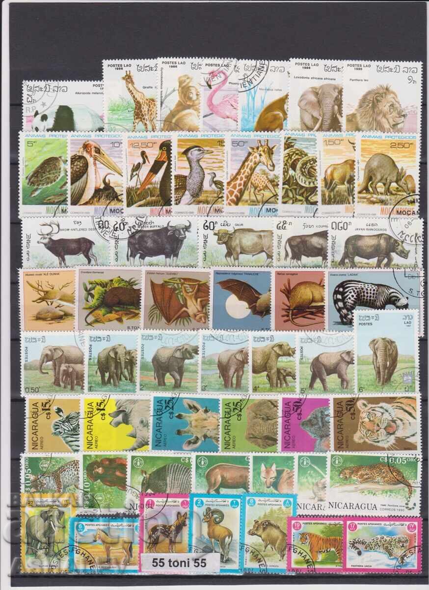 Лот Фауна-Животни 8 комплектни издания - (O)