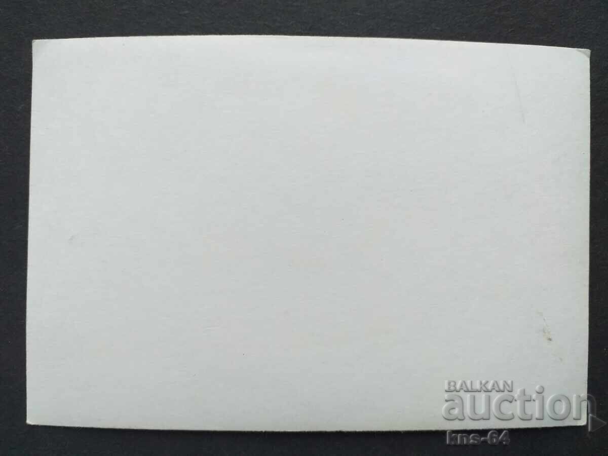 Fotografie militară 13/9 cm cu preț 1.00 BGN | € 0.51