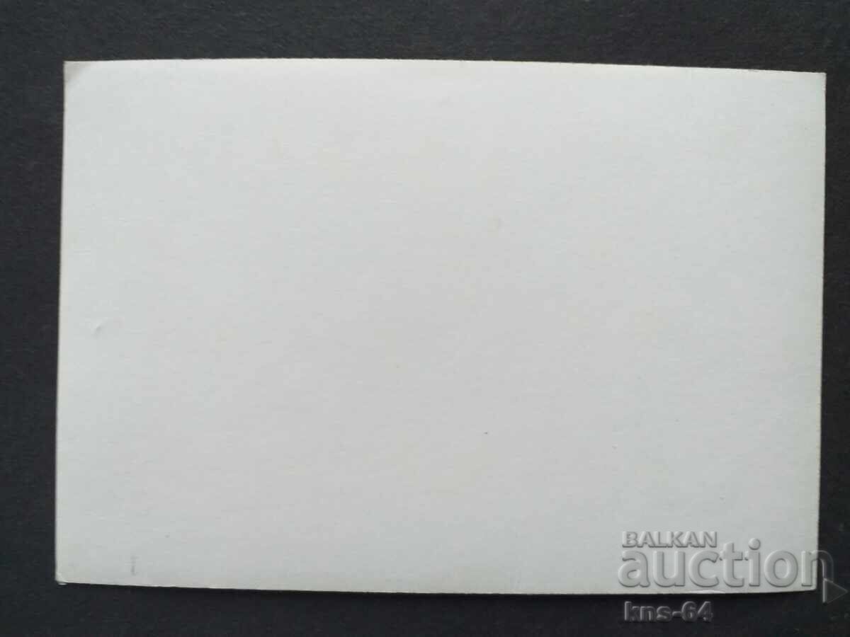 Στρατιωτική φωτογραφία 13/9 εκ με τιμή 1.00 BGN | € 0.51