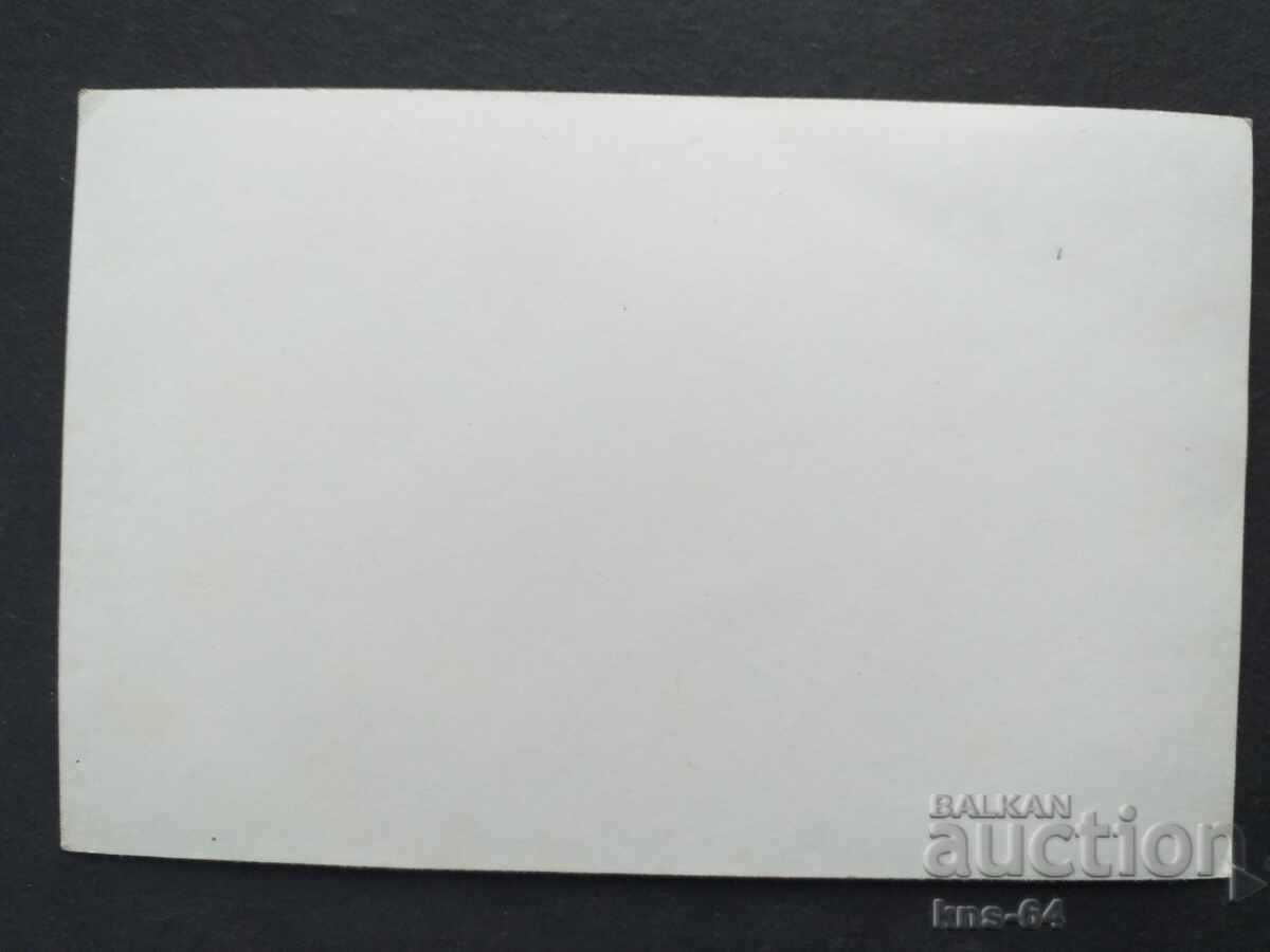 Στρατιωτική φωτογραφία 14/9 εκ με τιμή 1.30 BGN | € 0.66