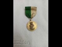 РЯДЪК СРЕБЪРЕН МЕДАЛ ,ОРДЕН С ПОЗЛАТА